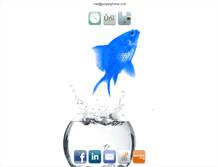 Tablet Screenshot of jumpingfishes.com